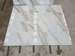 Castro White Slab Bookmatched Vein Cut Panel