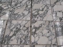 Arabescato Corchia White Marble Flooring Tile