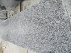 Dipoles Mutiara Bunga G383 Granit Dinding Meliputi Ubin