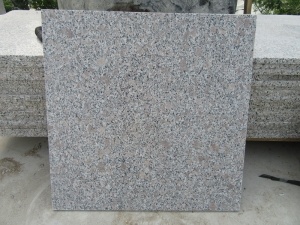 G383 Pearl Flower Grey Granite Ubin Paling Populer